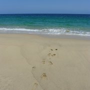 Baja2011 631 : Baja2011